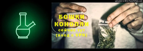 ECSTASY Ельня