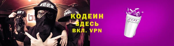 ECSTASY Ельня