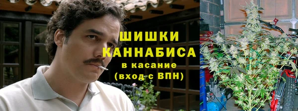 ECSTASY Ельня
