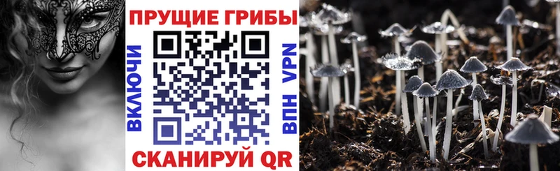 ОМГ ОМГ рабочий сайт  Свирск  Галлюциногенные грибы GOLDEN TEACHER 